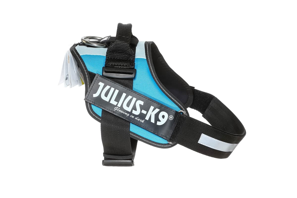 Julius-K9, 16IDC-AM-M, IDC Powerharness, dog harness, Size: Mini, Aquamarine — view 348