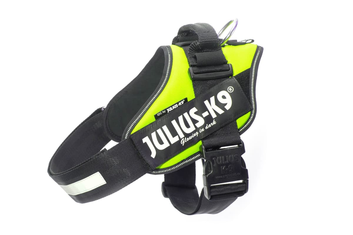 Julius-K9, 16IDC-AM-M, IDC Powerharness, dog harness, Size: Mini, Aquamarine — view 42