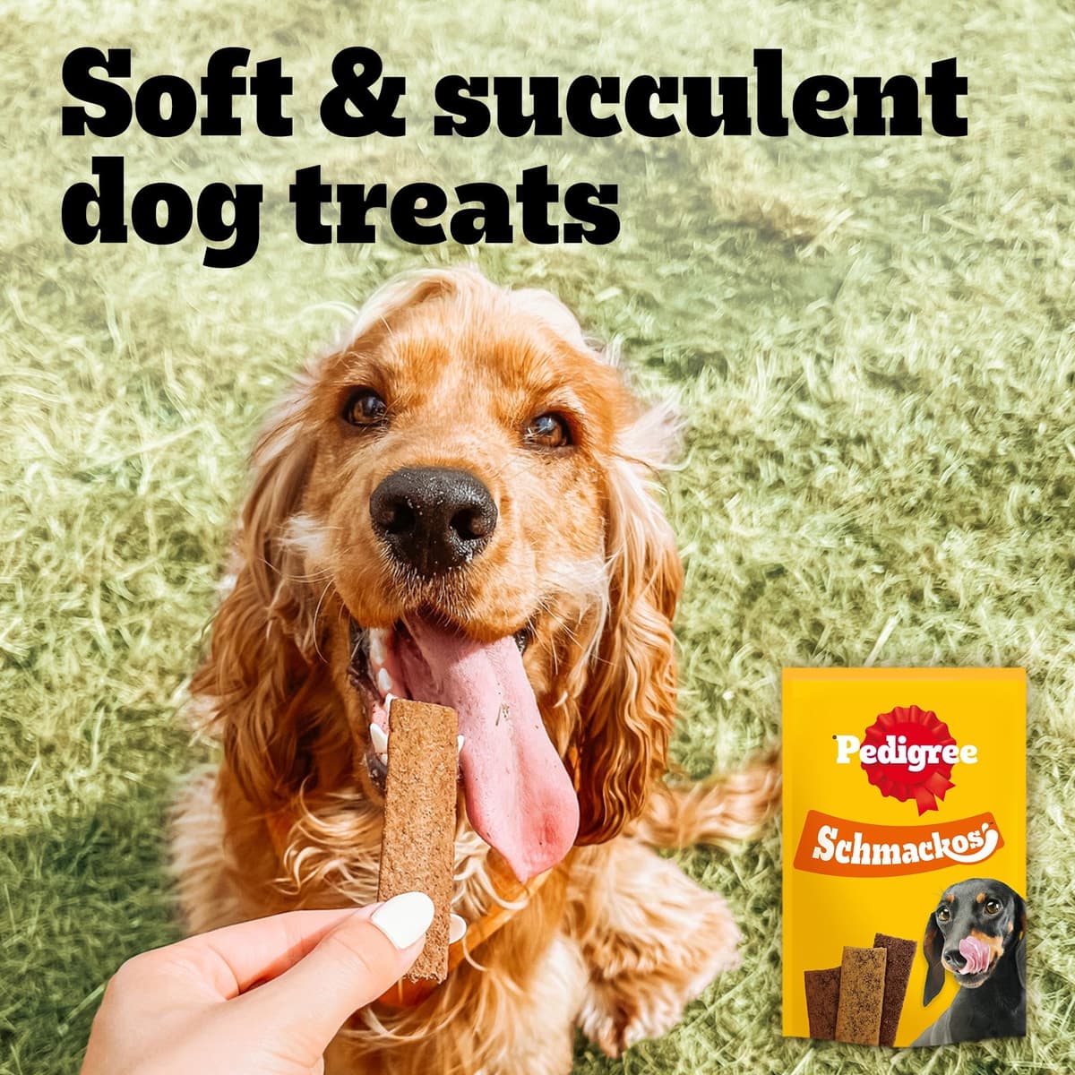 Pedigree Schmackos Mega Pack 110/112 Strips Snacks, Dog Treat Multipack with Beef, Lamb and Poultry Flavours — view 5