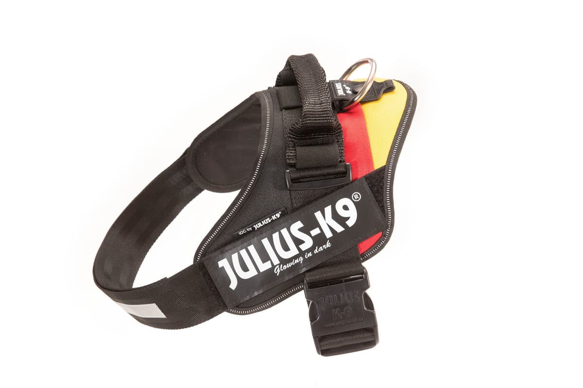 Julius-K9, 16IDC-AM-M, IDC Powerharness, dog harness, Size: Mini, Aquamarine — view 158