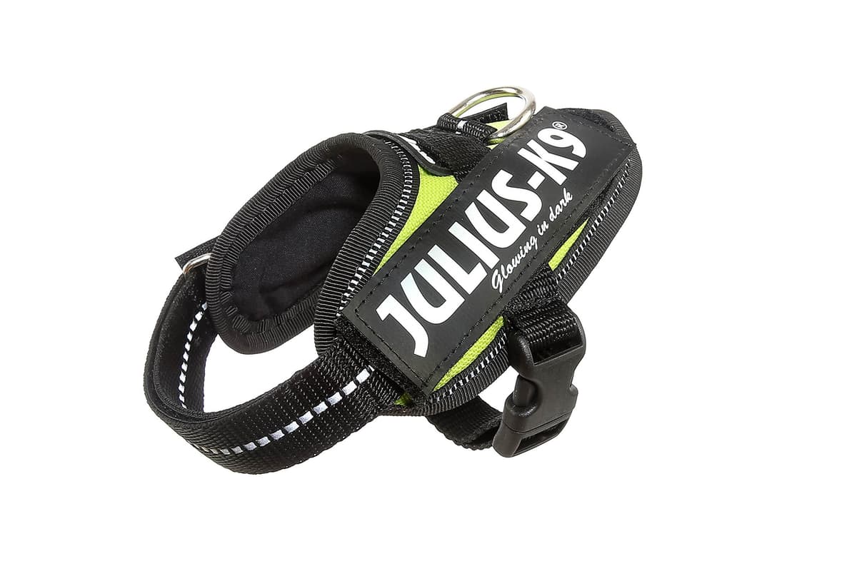 Julius-K9, 16IDC-AM-M, IDC Powerharness, dog harness, Size: Mini, Aquamarine — view 406