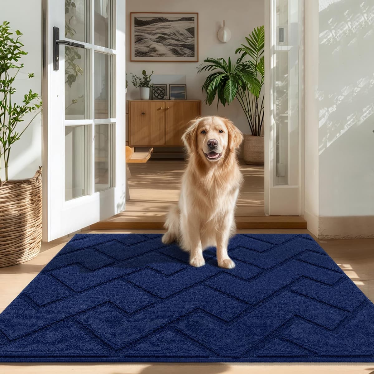 Biscpro Door Mats Indoor,Dirt Trapper Mat Absorbent Non-Slip Low Profile Doormat for Entrance,Inside, Kitchen,Front Door Mat Washable for Pets and Dogs— 50x80cm,Grey — view 15
