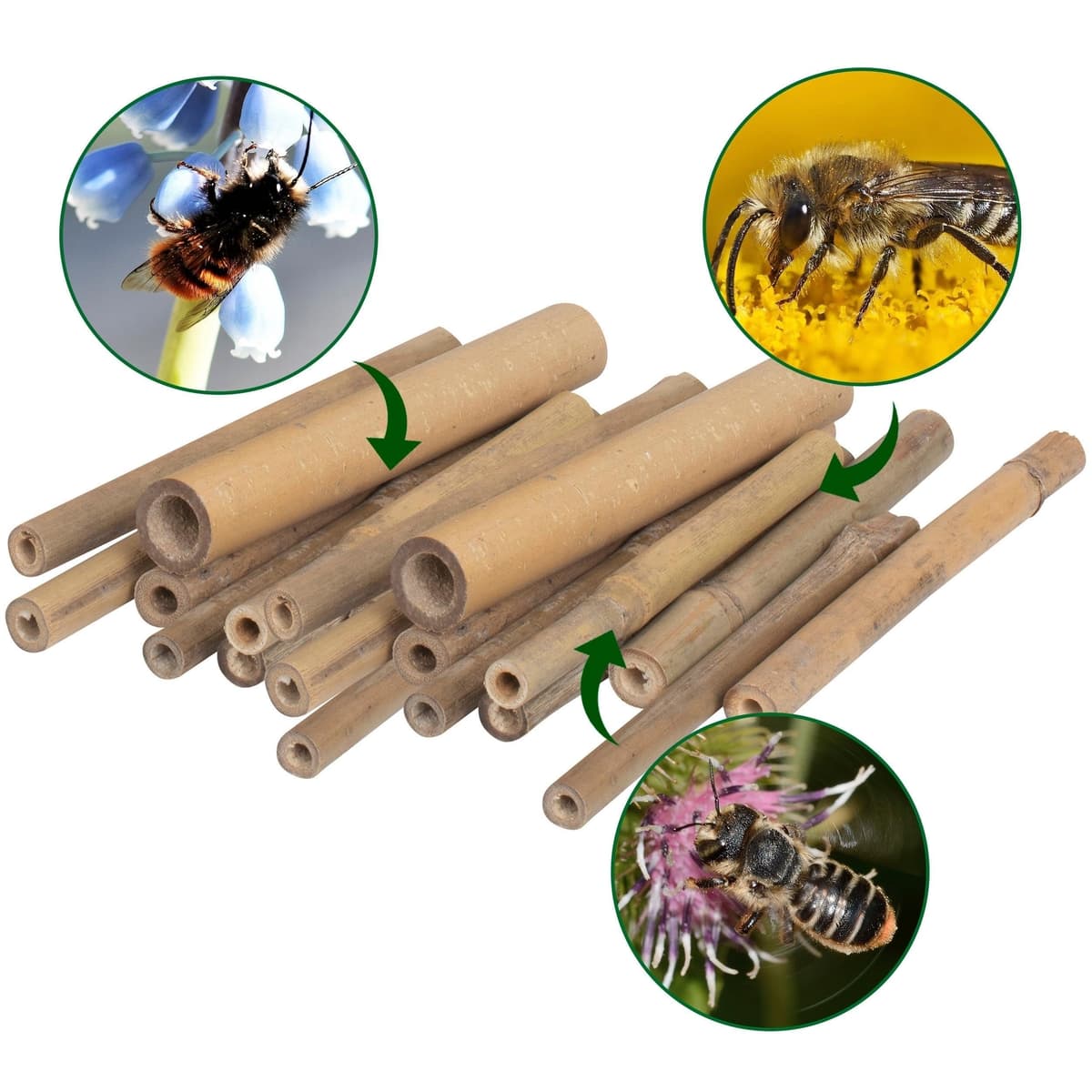 GARDIGO® Tubos de bambú para Hotel de Insectos, 150 Unidades, Tubos de anidación de bambú para Abejas Silvestres, Accesorios para casa de Insectos, Hotel de Abejas, casa de Abejas Silvestres, caña de — view 4