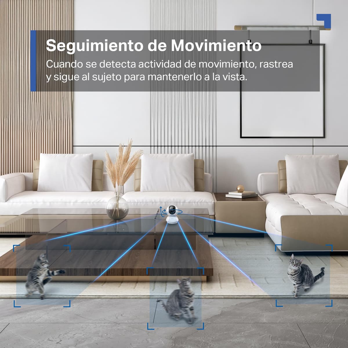 Tapo C230 - IA Cámara Vigilancia 360°, 3K 5MP, Alarma Sonora/Luz, Visión Nocturna, Audio Bidireccional, AI Detección Movimiento, Control Google/Alexa, Tarjeta SD hasta 512G, Fácil configuración — view 7
