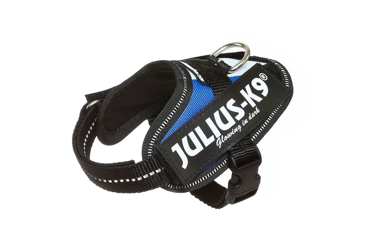 Julius-K9, 16IDC-AM-M, IDC Powerharness, dog harness, Size: Mini, Aquamarine — view 214