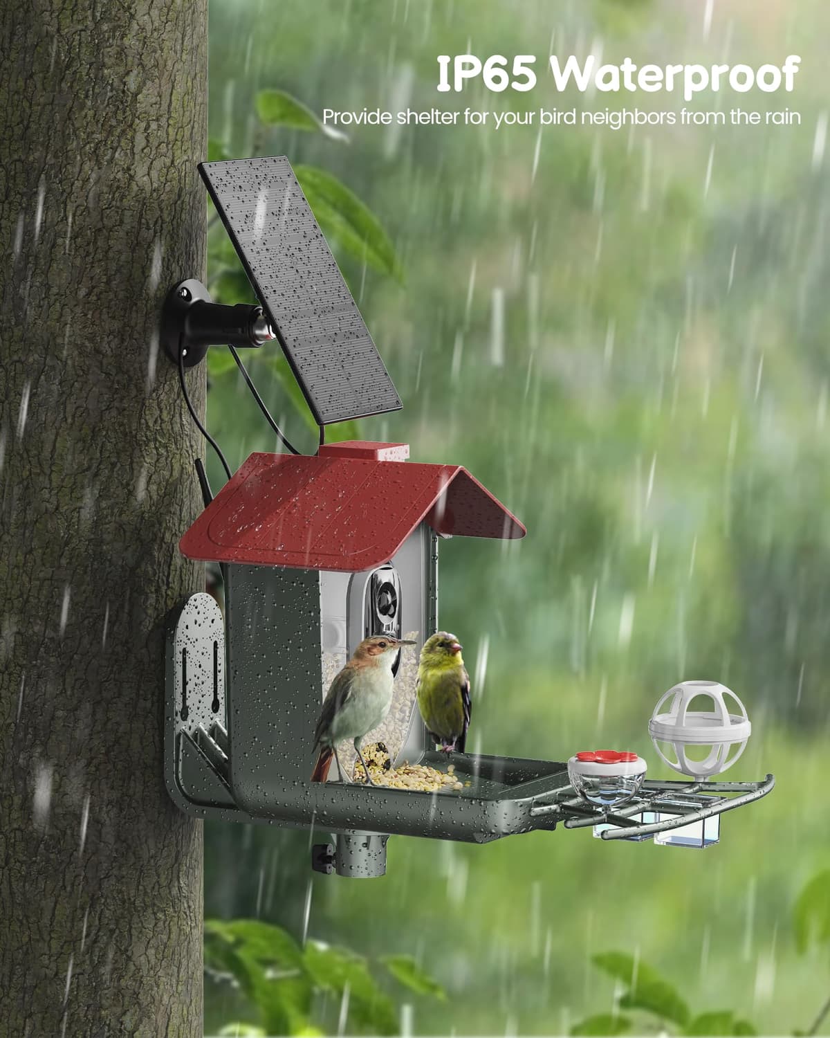 Comedero para pájaros con cámara solar al aire libre: cámara inteligente para jardín exterior, cámara de video en vivo HD 2K, reconocimiento de IA, ventana visible, captura automática, regalos para — view 4
