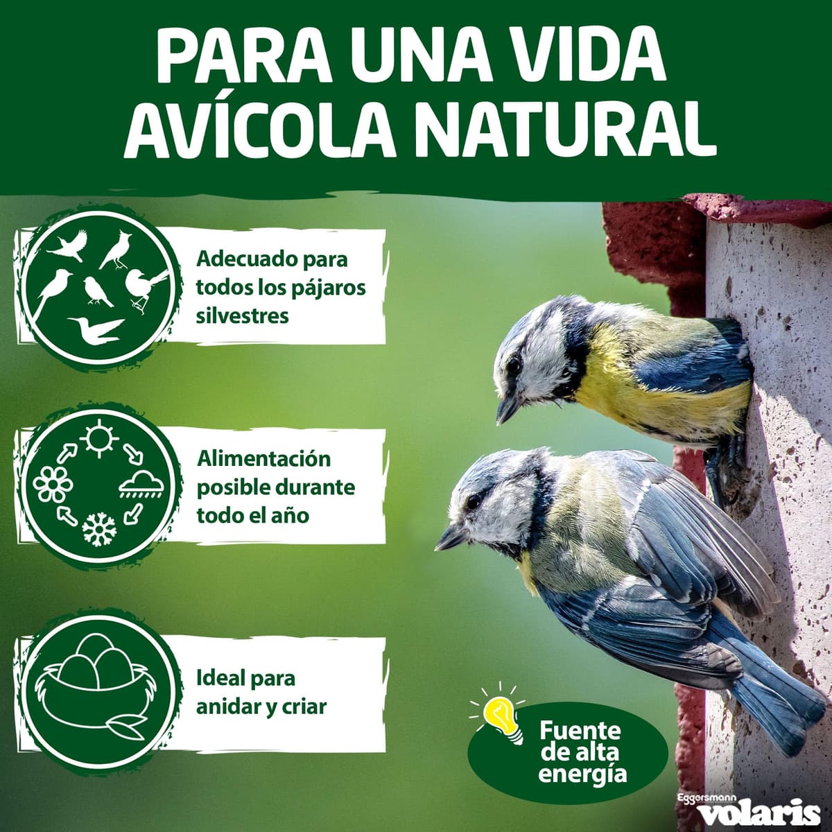 Eggersmann volaris Meisenknödel con red 200 piezas [MEISENkugeln] 18 kg – Alimento para pájaros silvestres – Bollas nutritivas para todos los pájaros de jardín – Meisenknödel en red todo el año y — view 3