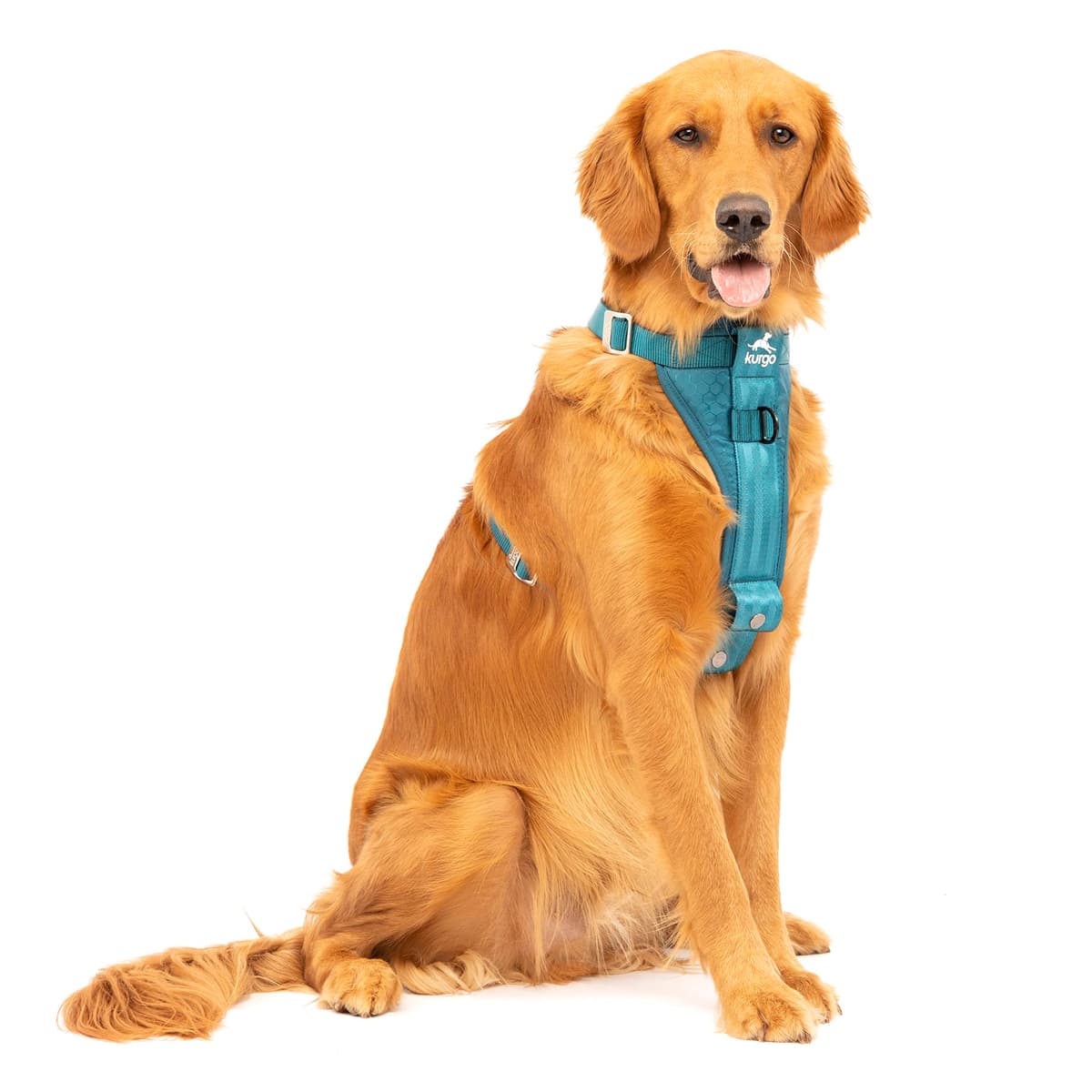 Kurgo Tru-Fit Smart Dog Walking Harness - Comfortable Fit - Adjustable Harness - Reflective Pet Wear - Quick Strap Release - Daily Walk Accessory - Includes Seat Belt Loop - Black - Medium — view 11