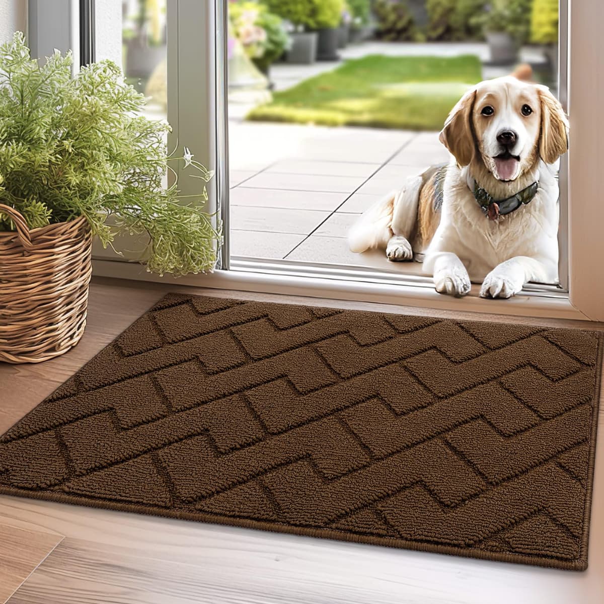 Biscpro Door Mats Indoor,Dirt Trapper Mat Absorbent Non-Slip Low Profile Doormat for Entrance,Inside, Kitchen,Front Door Mat Washable for Pets and Dogs— 50x80cm,Grey — view 68