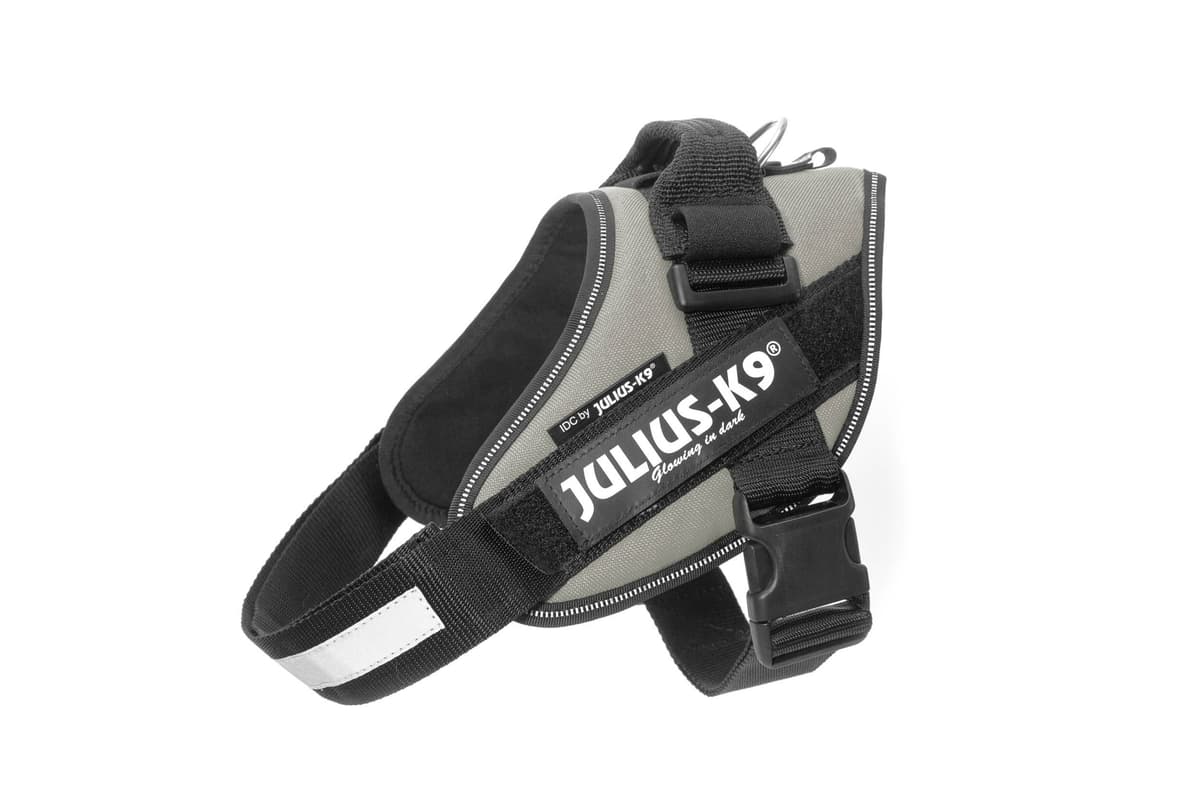 Julius-K9, 16IDC-AM-M, IDC Powerharness, dog harness, Size: Mini, Aquamarine — view 340