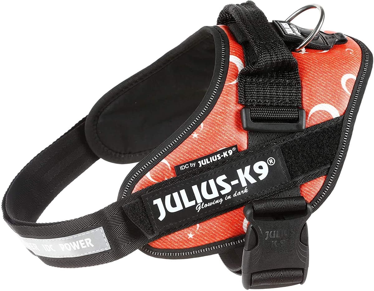 Julius-K9, 16IDC-AM-M, IDC Powerharness, dog harness, Size: Mini, Aquamarine — view 226