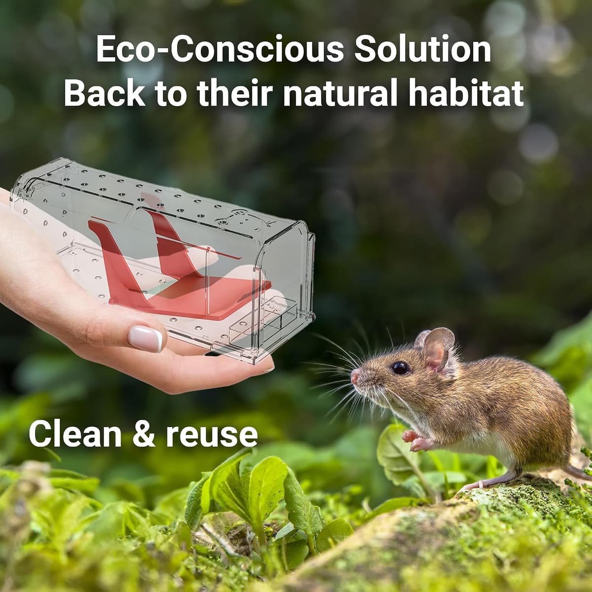 ROSHIELD 2 X Humane MOUSE Traps for Indoors and Outdoors, Duty Pest Trap for Catch Alive. Pets and Children Friendly. Reusable Rodent Mice Trap. Quick, Effective and Highly Sensitive Catcher — view 4