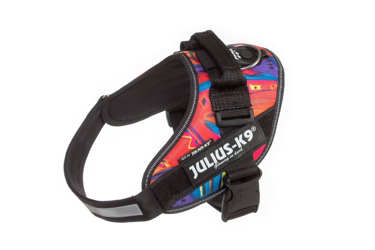 Julius-K9, 16IDC-AM-M, IDC Powerharness, dog harness, Size: Mini, Aquamarine — view 427