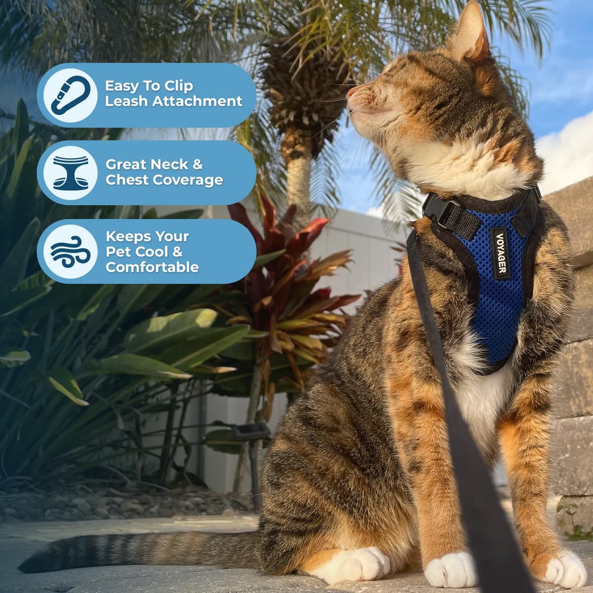 Voyager Step-in Lock Cat Harness and Reflective Cat Leash with Neoprene Handle by Best Pet Supplies - Supports Small, Medium and Large Breed Cats, Royal Blue/ Black Trim, size XXS - 5ft — view 5