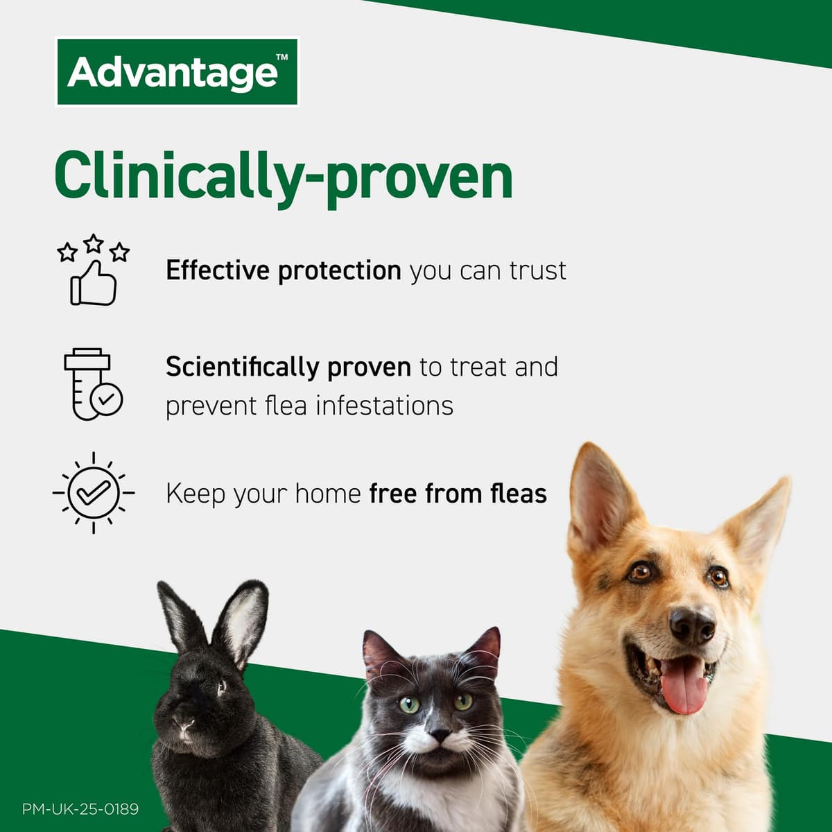 Advantage Spot On Flea Treatment For Cats, Dogs and Rabbits Under 4kg (4 pipettes, 40mg), Kills Fleas Within 24 Hours, Prevents Further Infestation For Up To Four Weeks in Cats and Dogs — view 6