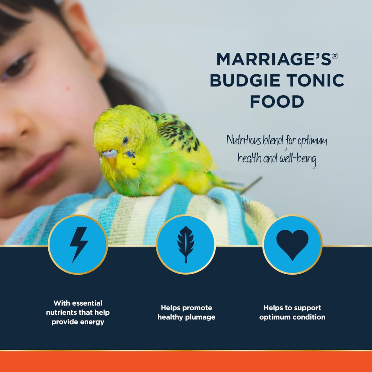 Marriages - Budgie Tonic Food, Budgie Seed and Bird Food with Red Millet, Oats, Nyjer Seed, Wholesome, Packed with Fibre and Protein (1kg) — view 3