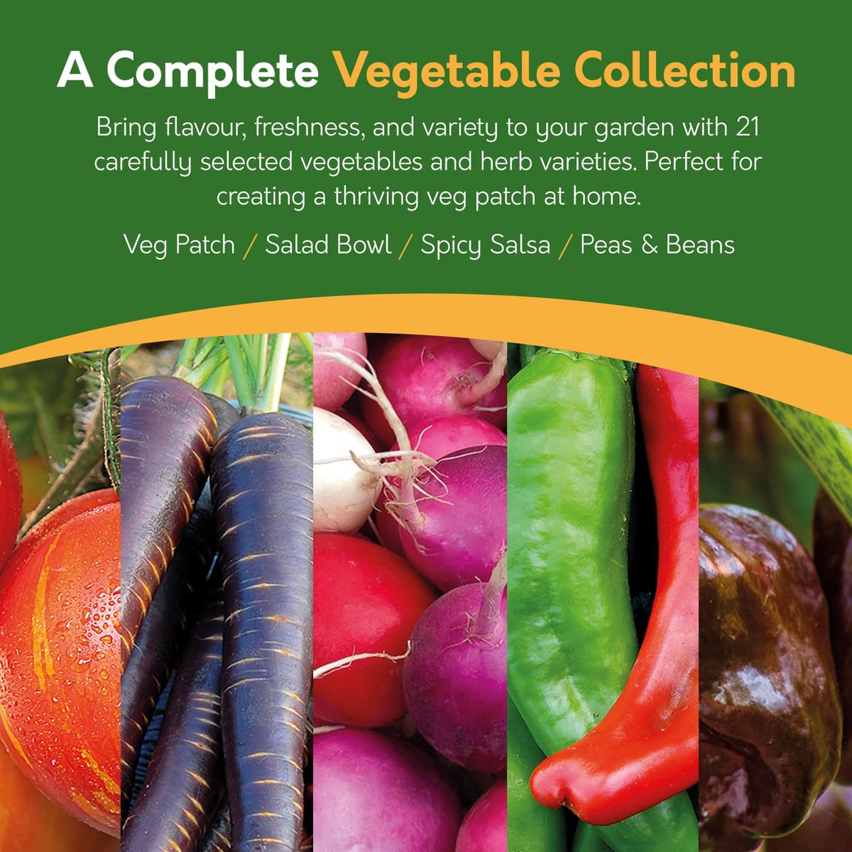 Pronto Seed Grow Your Own Vegetable & Herb Kit – 21 Varieties, 1700+ Seeds for Planting UK – Salad, Spicy, Peas & Beans Mix – Gardening Gifts for Men & Women with Growing Guide — view 2
