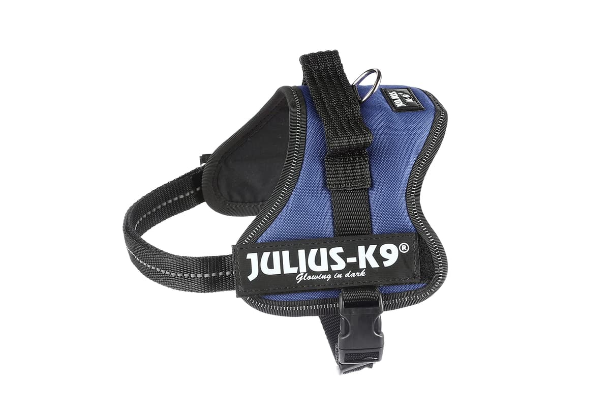 JULIUS-K9Powerharness, Size: S/Mini, Black — view 25