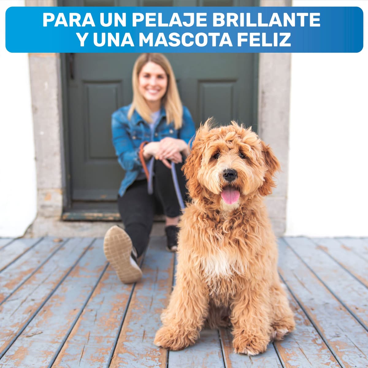 BluePet Peine para Perros y Gatos, Cepillo Gato Perro Pelo Largo, Rastrillo Quita Nudos, Pelo Muerto, Subpelo, Deslanador Mascotas Pelos Largos, Cepillos Quitapelos, Escoba Deslanar, Quitapelo Mascota — view 5
