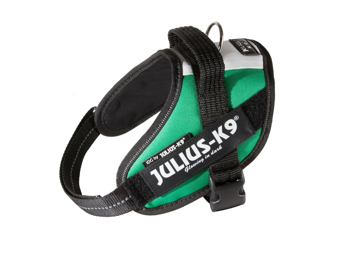 Julius-K9, 16IDC-AM-M, IDC Powerharness, dog harness, Size: Mini, Aquamarine — view 253
