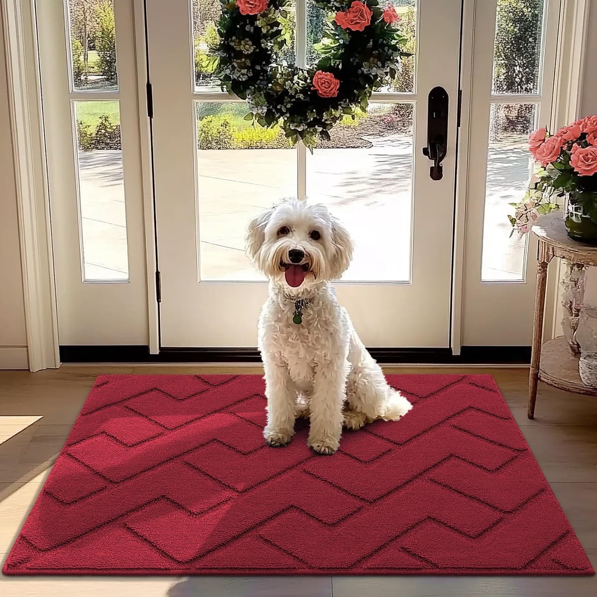 Biscpro Door Mats Indoor,Dirt Trapper Mat Absorbent Non-Slip Low Profile Doormat for Entrance,Inside, Kitchen,Front Door Mat Washable for Pets and Dogs— 50x80cm,Grey — view 70