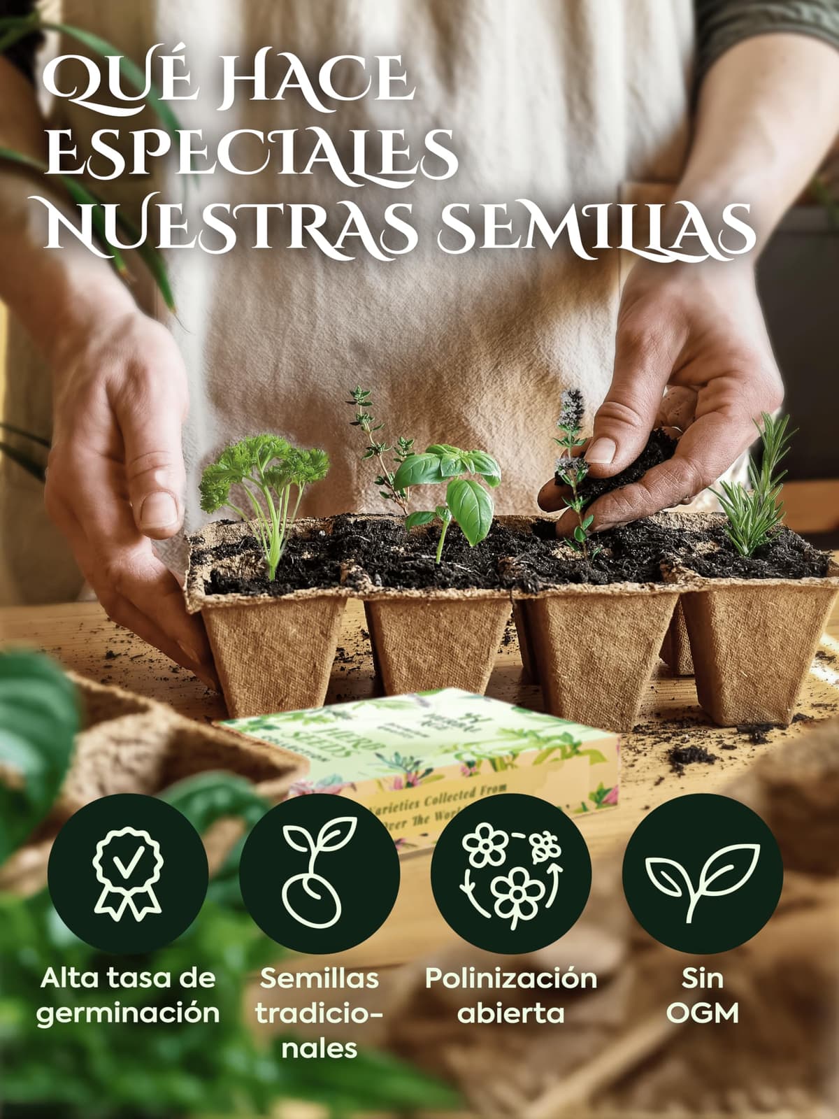 12 Variedades De Kit Plantas Aromáticas – 8700 Semillas Urbano Para Cultivar De Hierbas Frescas En Casa Interior, Jardin – Semillas Lechuga, Albahaca, Perejil – Regalos Originales Para Mujer y Hombre — view 5