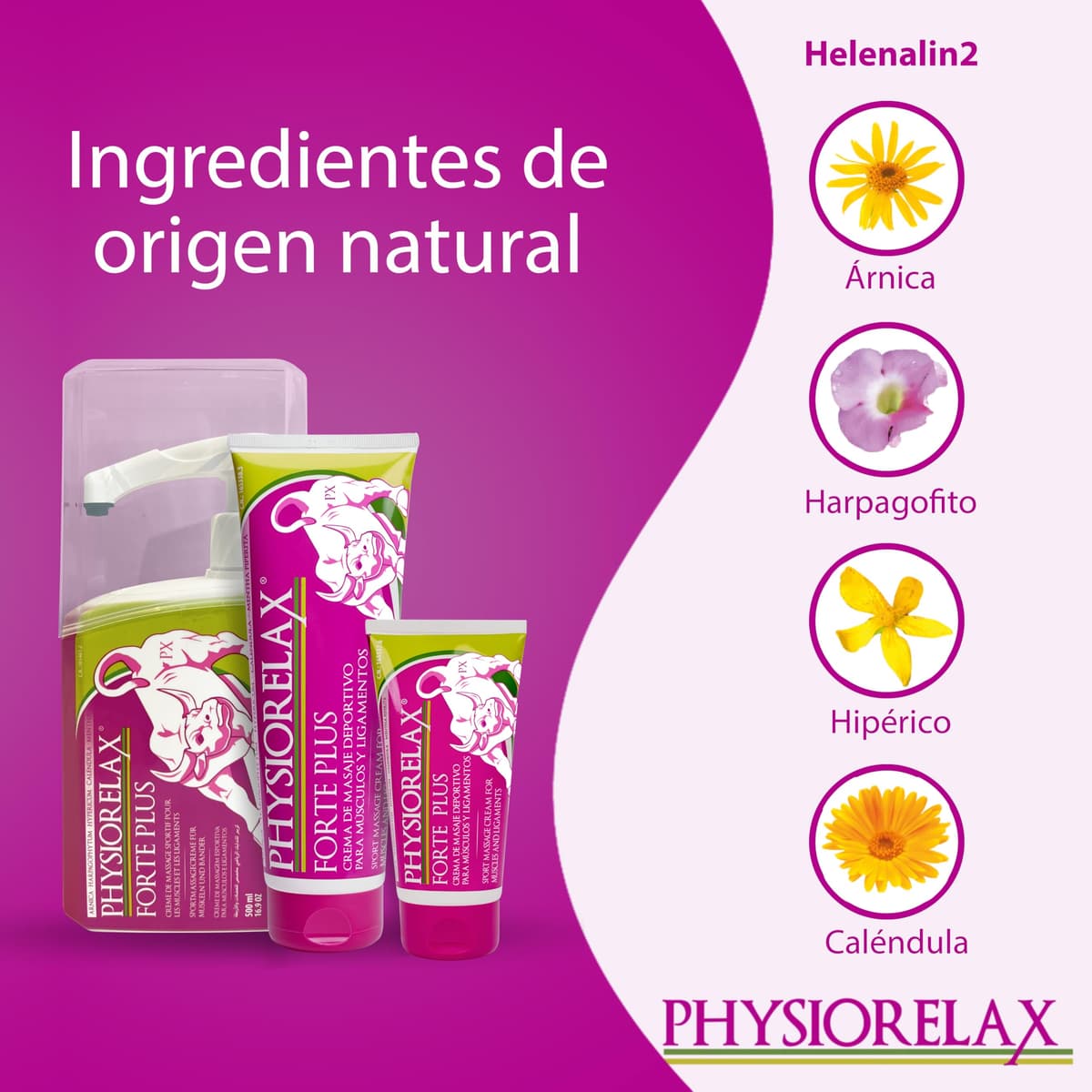Physiorelax - Forte Plus, Crema de Masaje, Preparación y Recuperación de Músculos y Ligamentos, Antes y Después del Ejercicio, Uso Personal y Profesional, con Árnica e Ingredientes Naturales - 75 ml — view 3
