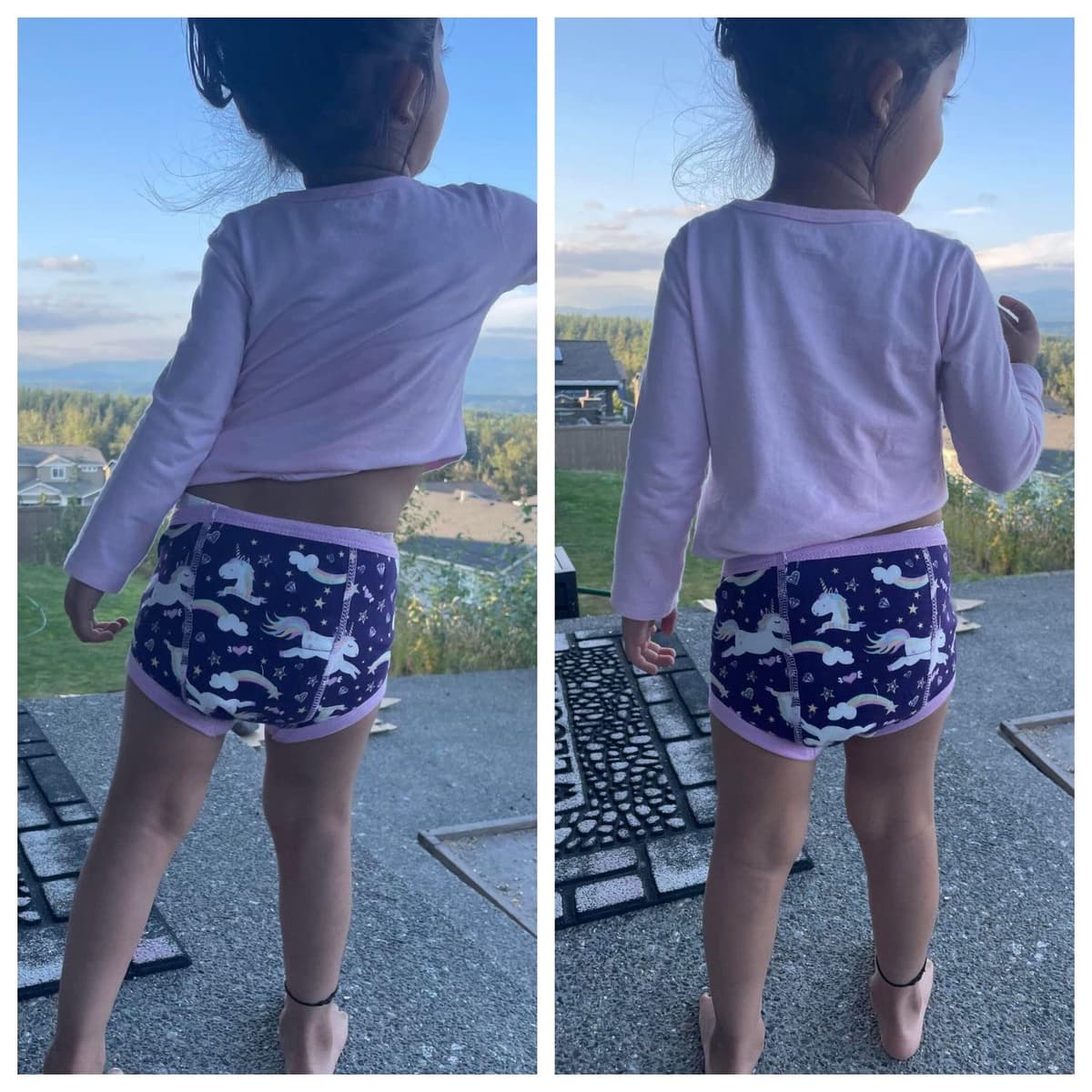 FLYISH DIRECT Potty Training Pants, 6 Packs of 100% Cotton Toilet Training Pants for Girls, Absorbent and Reusable Potty Underwear for Toddlers, 4 Years, Purple — view 2
