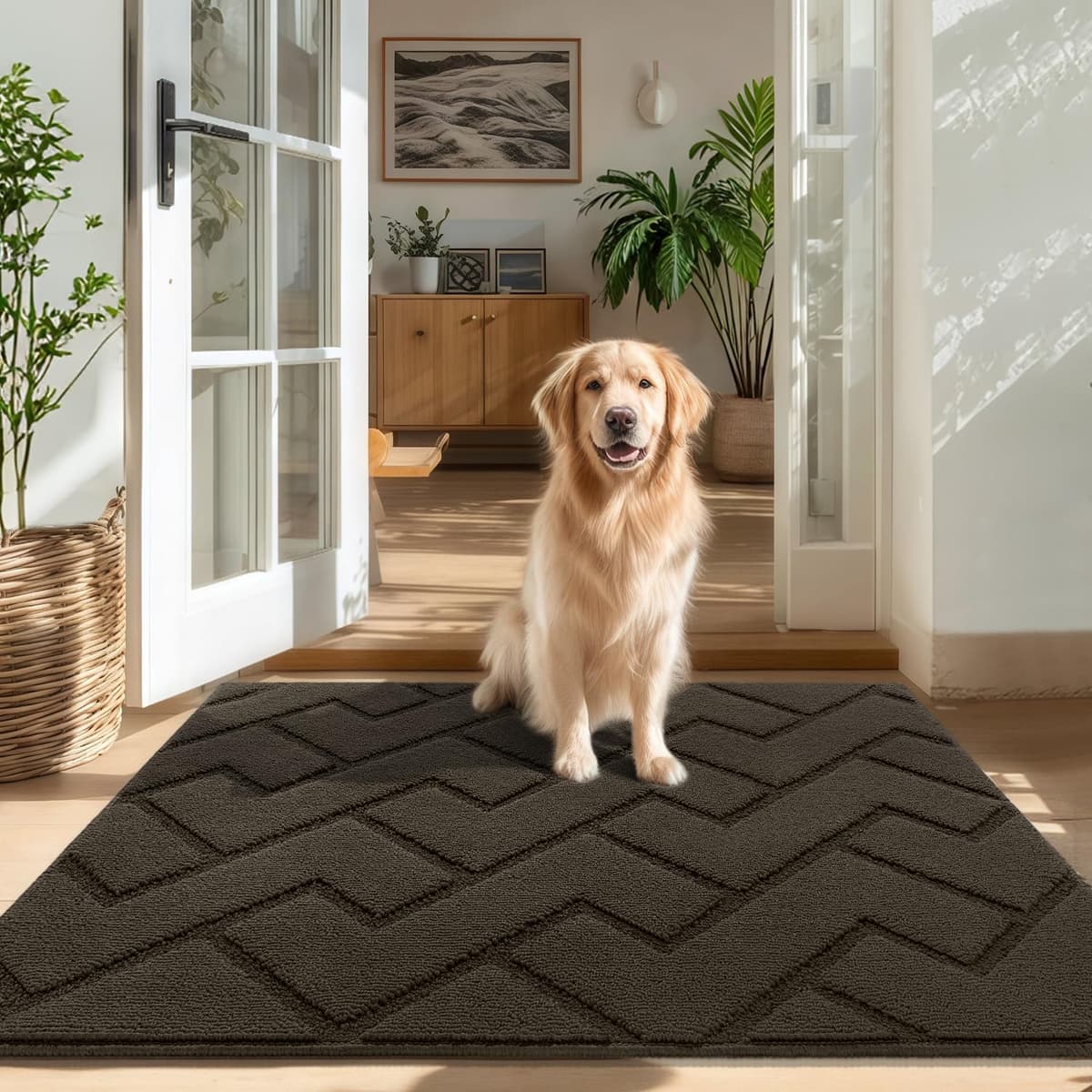Biscpro Door Mats Indoor,Dirt Trapper Mat Absorbent Non-Slip Low Profile Doormat for Entrance,Inside, Kitchen,Front Door Mat Washable for Pets and Dogs— 50x80cm,Grey — view 28