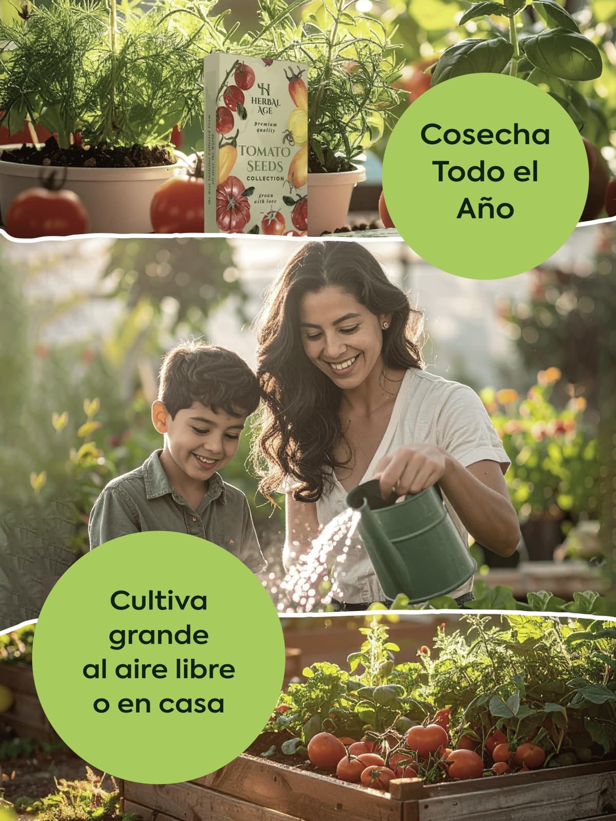12 Variedades De Kit Plantas Aromáticas – 8700 Semillas Urbano Para Cultivar De Hierbas Frescas En Casa Interior, Jardin – Semillas Lechuga, Albahaca, Perejil – Regalos Originales Para Mujer y Hombre — view 7