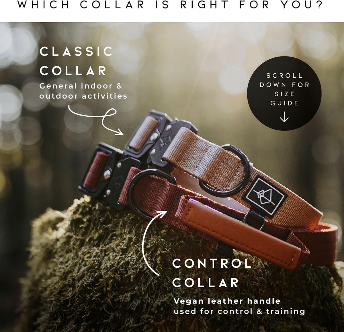 Made to ROAM Premium Dog Collar - Adjustable Heavy Duty Nylon Collar with Quick-Release Metal Buckle (Oregon Haze, Classic Size 4) — view 5