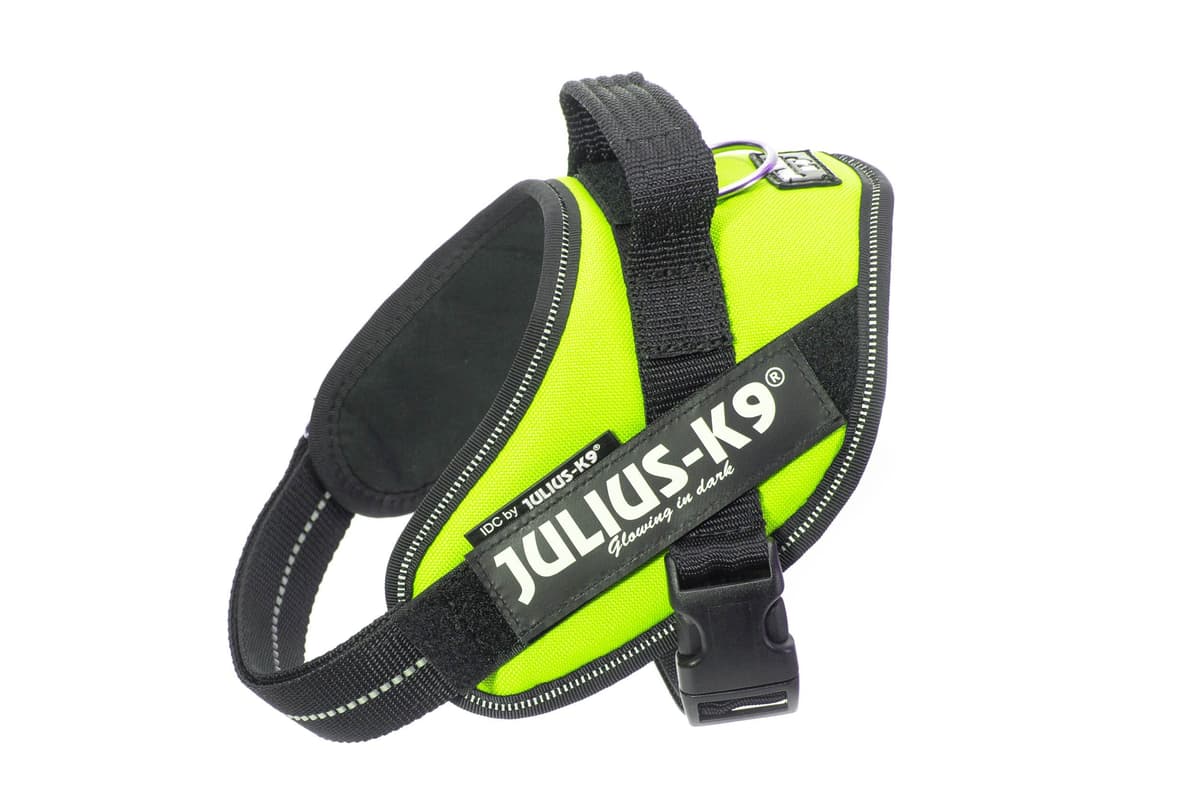 Julius-K9, 16IDC-AM-M, IDC Powerharness, dog harness, Size: Mini, Aquamarine — view 354