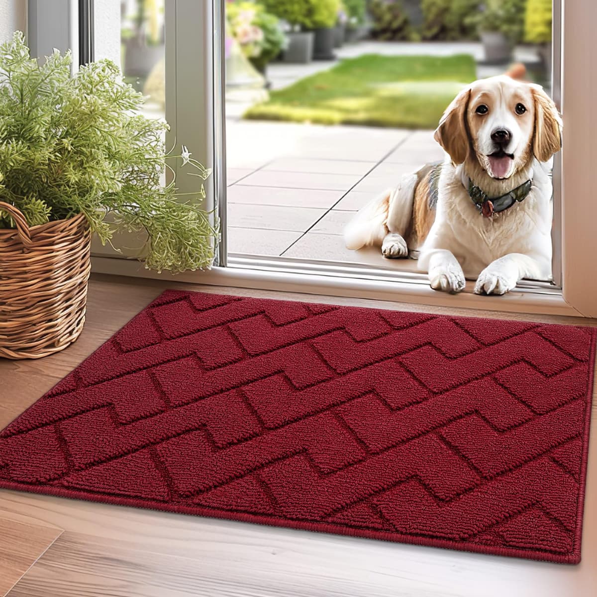 Biscpro Door Mats Indoor,Dirt Trapper Mat Absorbent Non-Slip Low Profile Doormat for Entrance,Inside, Kitchen,Front Door Mat Washable for Pets and Dogs— 50x80cm,Grey — view 46