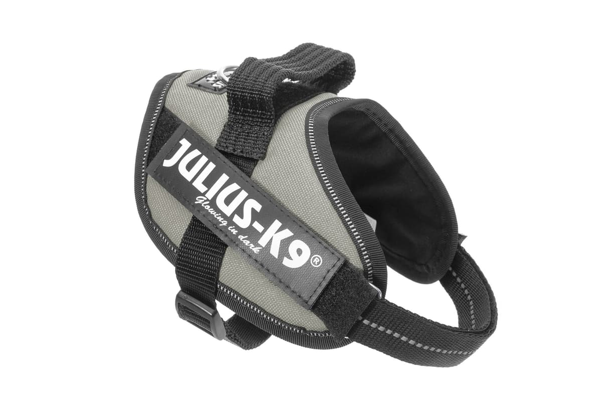 Julius-K9, 16IDC-AM-M, IDC Powerharness, dog harness, Size: Mini, Aquamarine — view 318