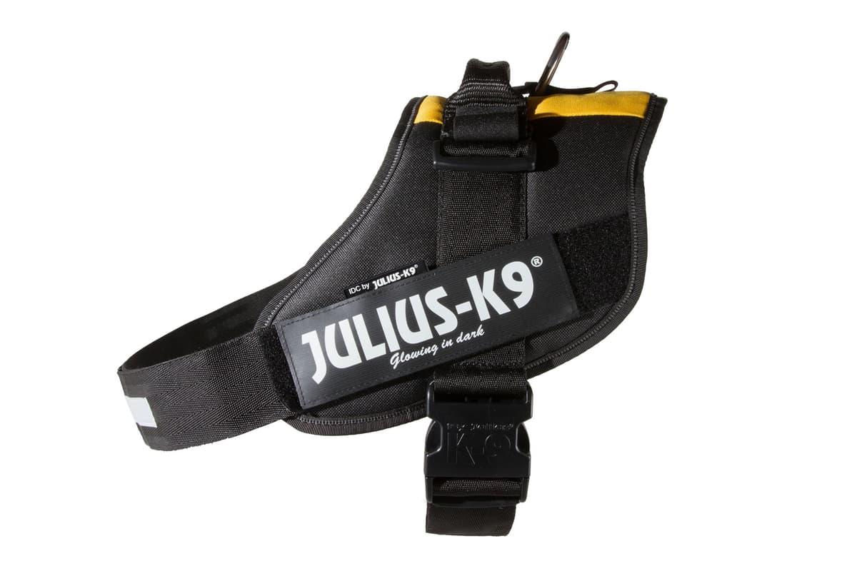 Julius-K9, 16IDC-AM-M, IDC Powerharness, dog harness, Size: Mini, Aquamarine — view 343