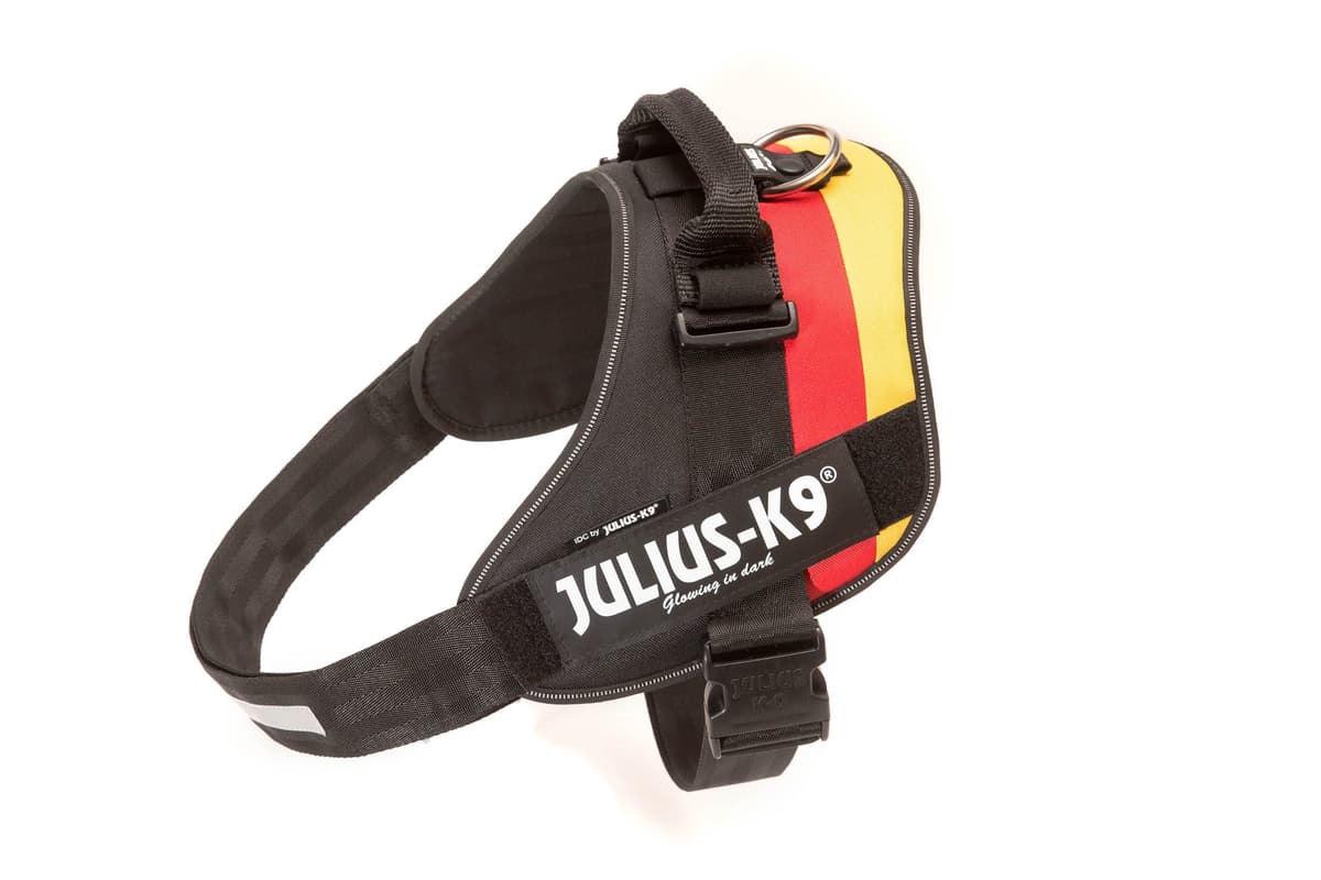 Julius-K9, 16IDC-AM-M, IDC Powerharness, dog harness, Size: Mini, Aquamarine — view 167