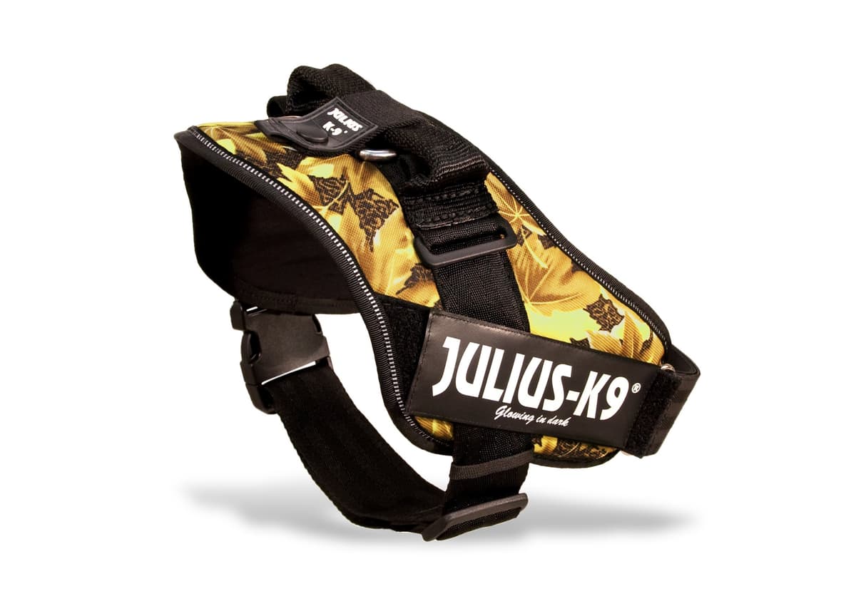 Julius-K9, 16IDC-AM-M, IDC Powerharness, dog harness, Size: Mini, Aquamarine — view 305