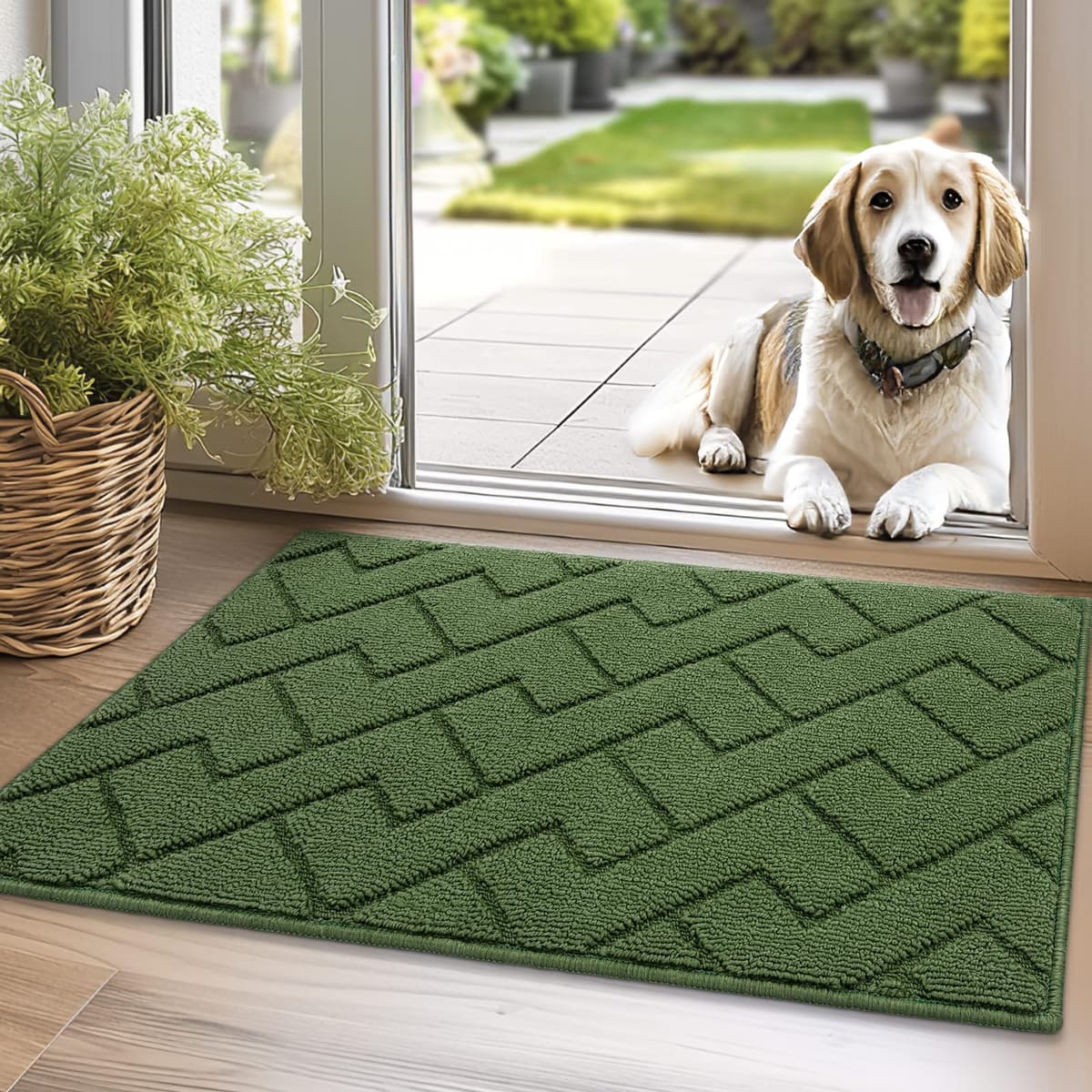 Biscpro Door Mats Indoor,Dirt Trapper Mat Absorbent Non-Slip Low Profile Doormat for Entrance,Inside, Kitchen,Front Door Mat Washable for Pets and Dogs— 50x80cm,Grey — view 94