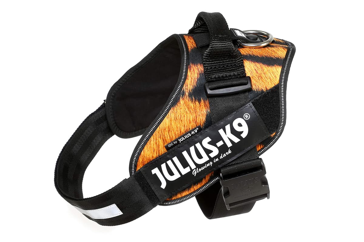 Julius-K9, 16IDC-AM-M, IDC Powerharness, dog harness, Size: Mini, Aquamarine — view 180