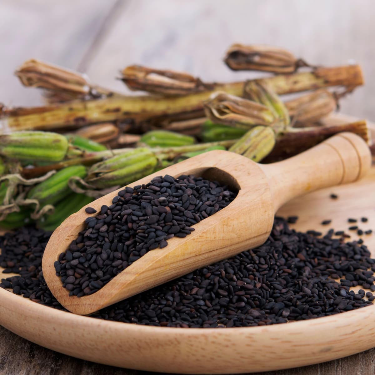 Alpi Nature Semillas de Sésamo Negro 500g, Semillas de Sésamo Negro Enteras Crudas para Cocinar — view 4