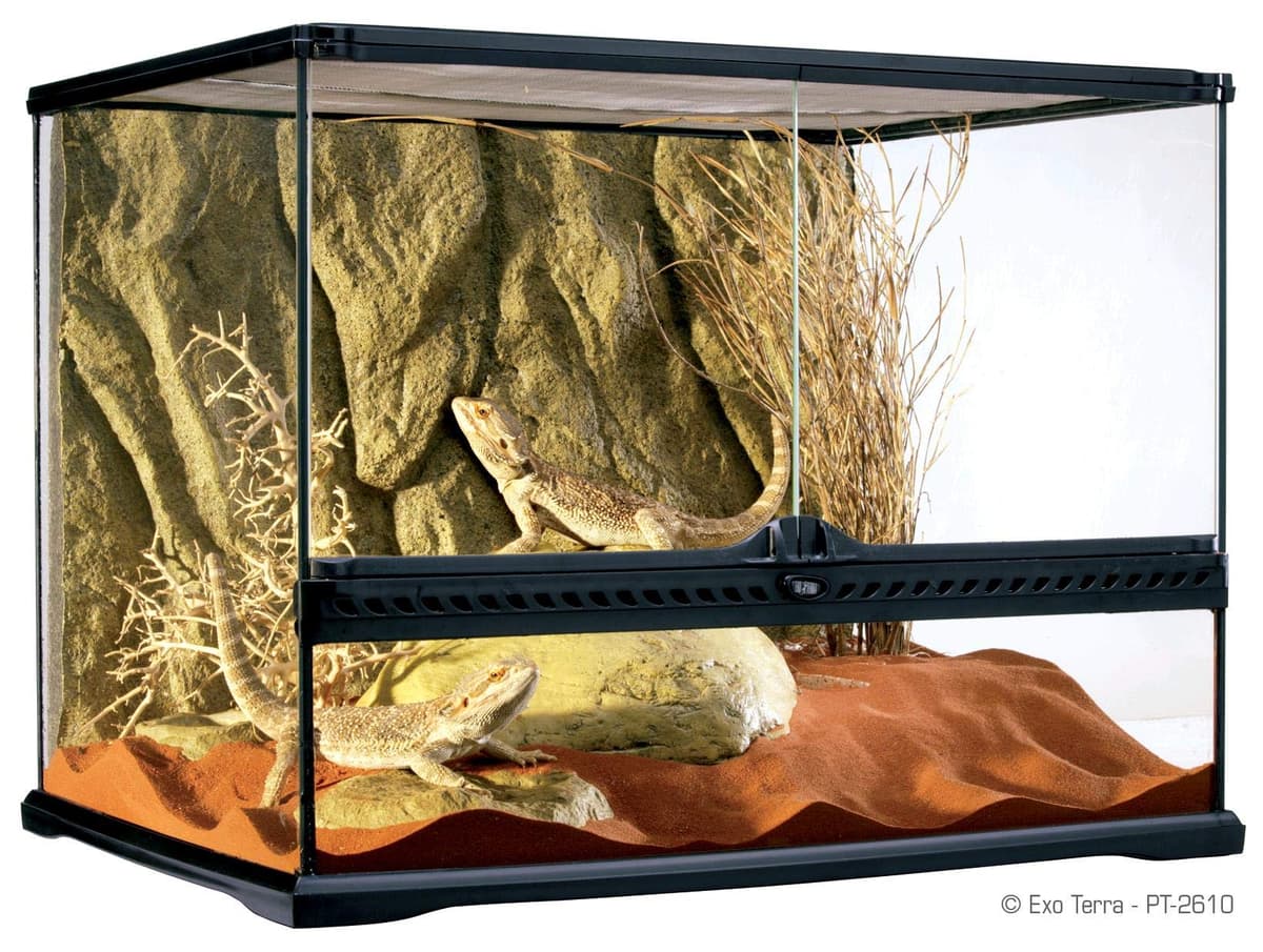 Exo Terra Terrario de cristal, con ventilación frontal única, 60 x 45 x 30 cm — view 3