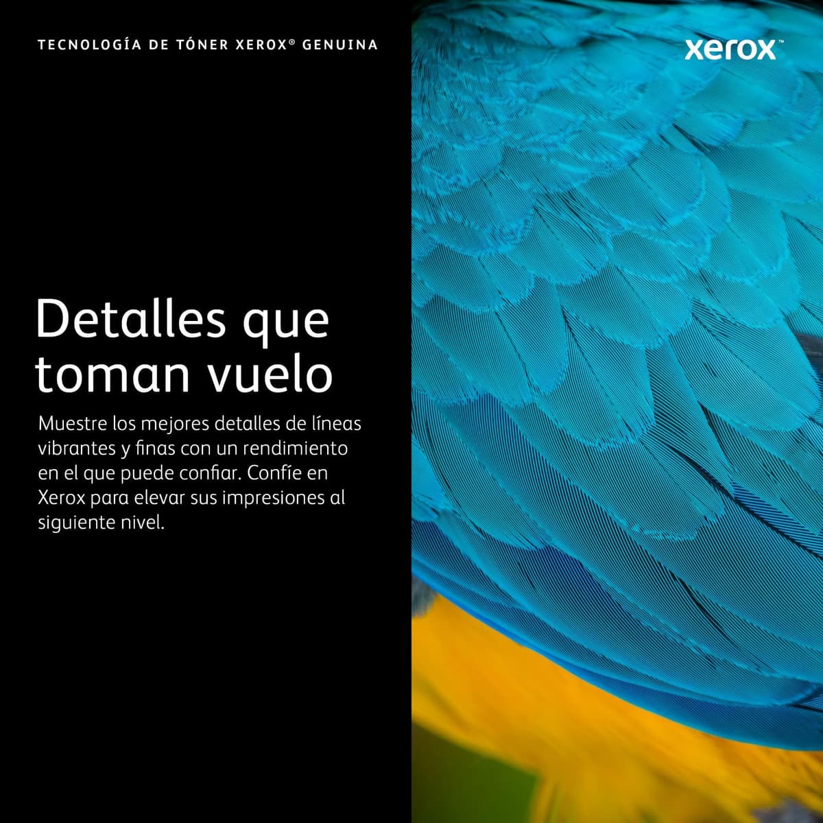 Xerox Original C310 / C315 Cian Cartucho de Tóner Estándar Capacidad (2,000 Páginas) - 006R04357 — view 2
