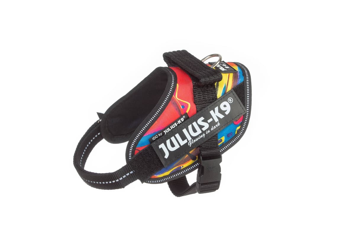 Julius-K9, 16IDC-AM-M, IDC Powerharness, dog harness, Size: Mini, Aquamarine — view 297