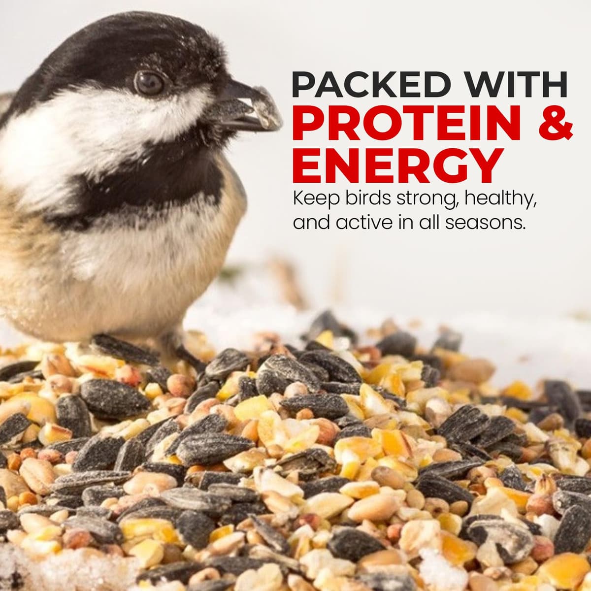5L Mix Seed Bag, Wild Bird Seed, Bird Feed, Wild Bird Food, Bird Seeds for Small Garden Birds, Robin Food, Bird Food for Outside Wild Birds — view 5
