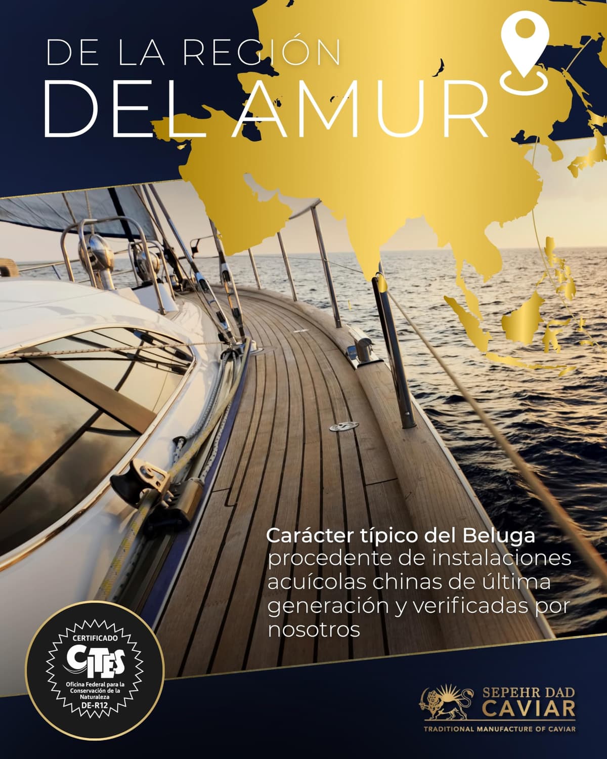 Sepehr Dad Caviar Beluga de l'Amour | Huevas de pescado clase A | cría NC | 30 gramos — view 3