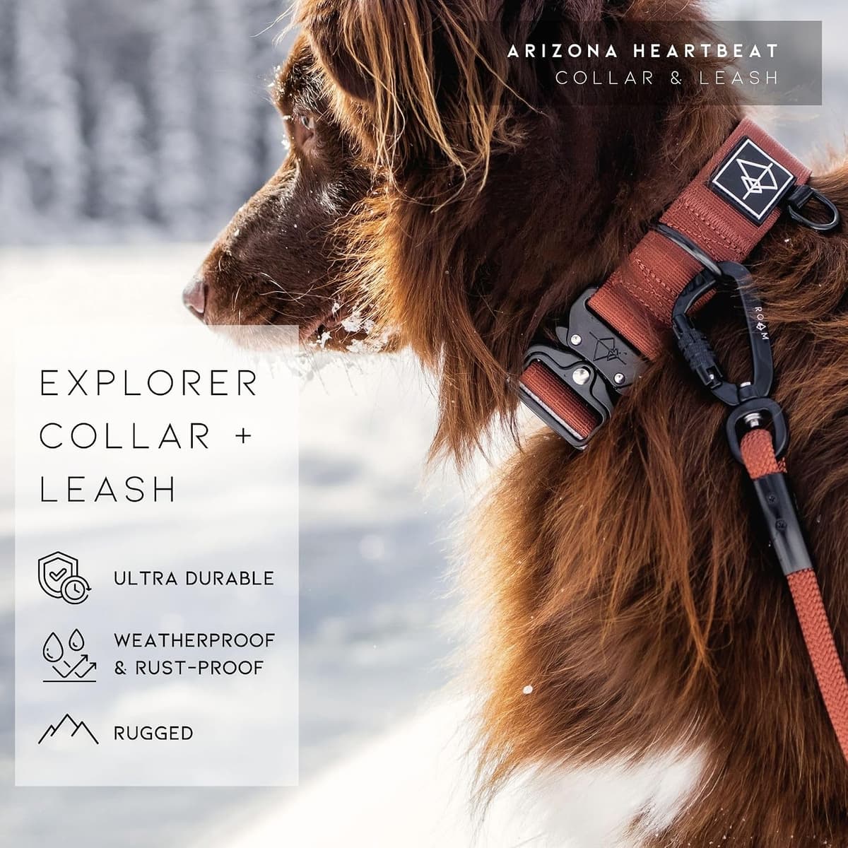 Made to ROAM Premium Dog Collar - Adjustable Heavy Duty Nylon Collar with Quick-Release Metal Buckle (Oregon Haze, Classic Size 4) — view 7