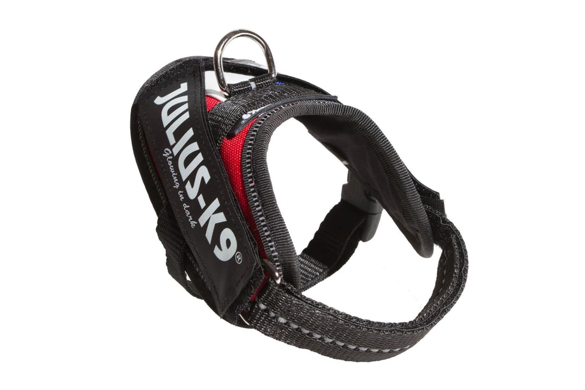 Julius-K9, 16IDC-AM-M, IDC Powerharness, dog harness, Size: Mini, Aquamarine — view 178