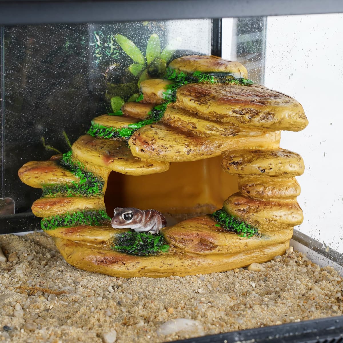 Reptile Cave Hideout Habitat, Great for Bearded Dragons, Leopard Geckos, Lizards, Turtles, Snakes, Frogs, Scorpions, Spiders and Other Reptiles, Amphibians (B - Medium) — view 4