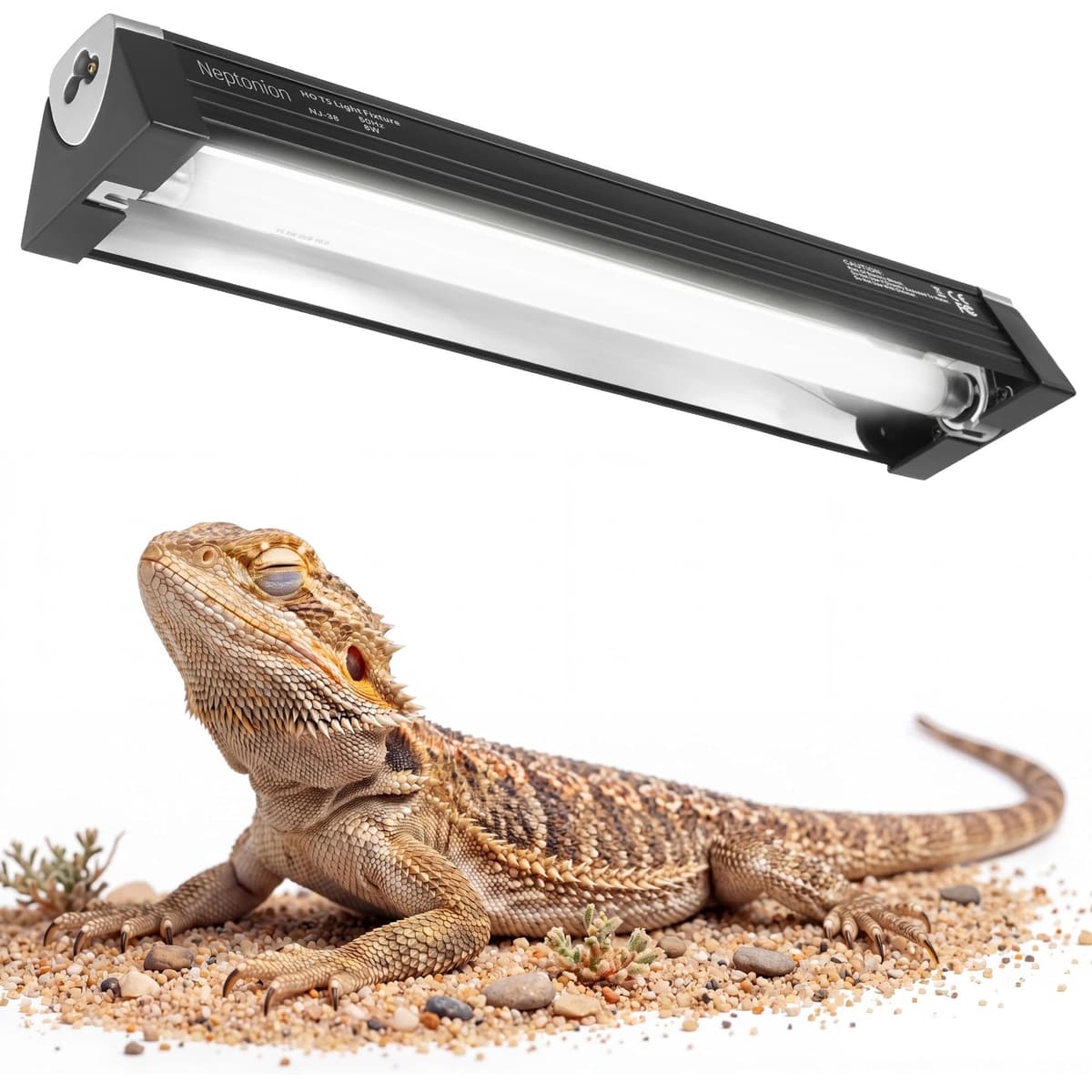 8W Reptile T5 HO UVB 12.5" 10.0 Light Fixture with Tube, Mid-Range UVB Hood for Terrariums, Suitable for Desert Reptiles Like Juvenile Bearded Dragon