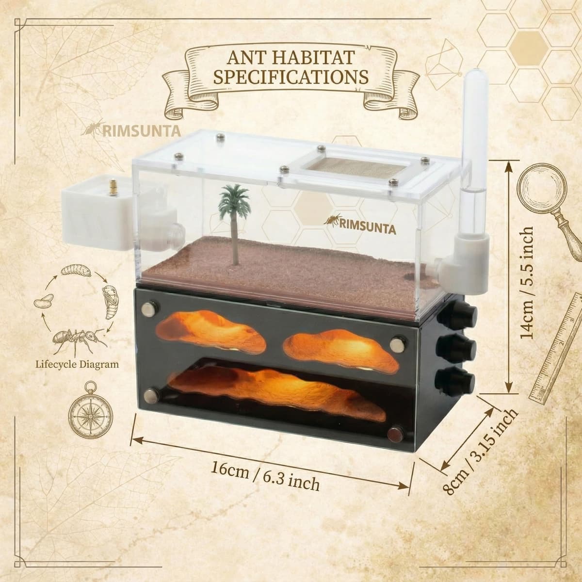 Lumen Series – Chamber Ant Farm with Built-in LED Lighting, Compact Formicarium Habitat for Live Ants, Small Colony Ant Nest for Observation — view 3